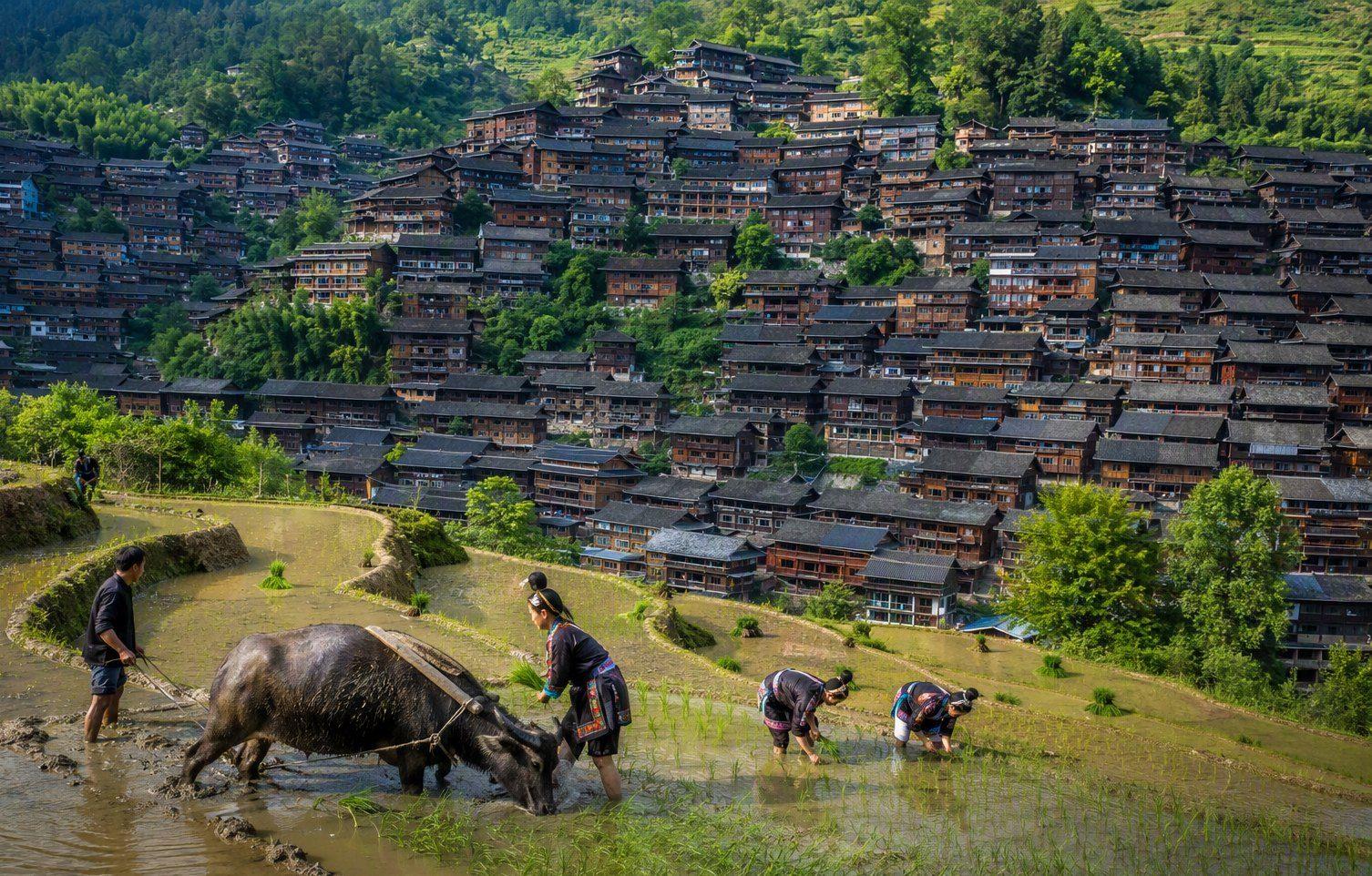 Guizhou