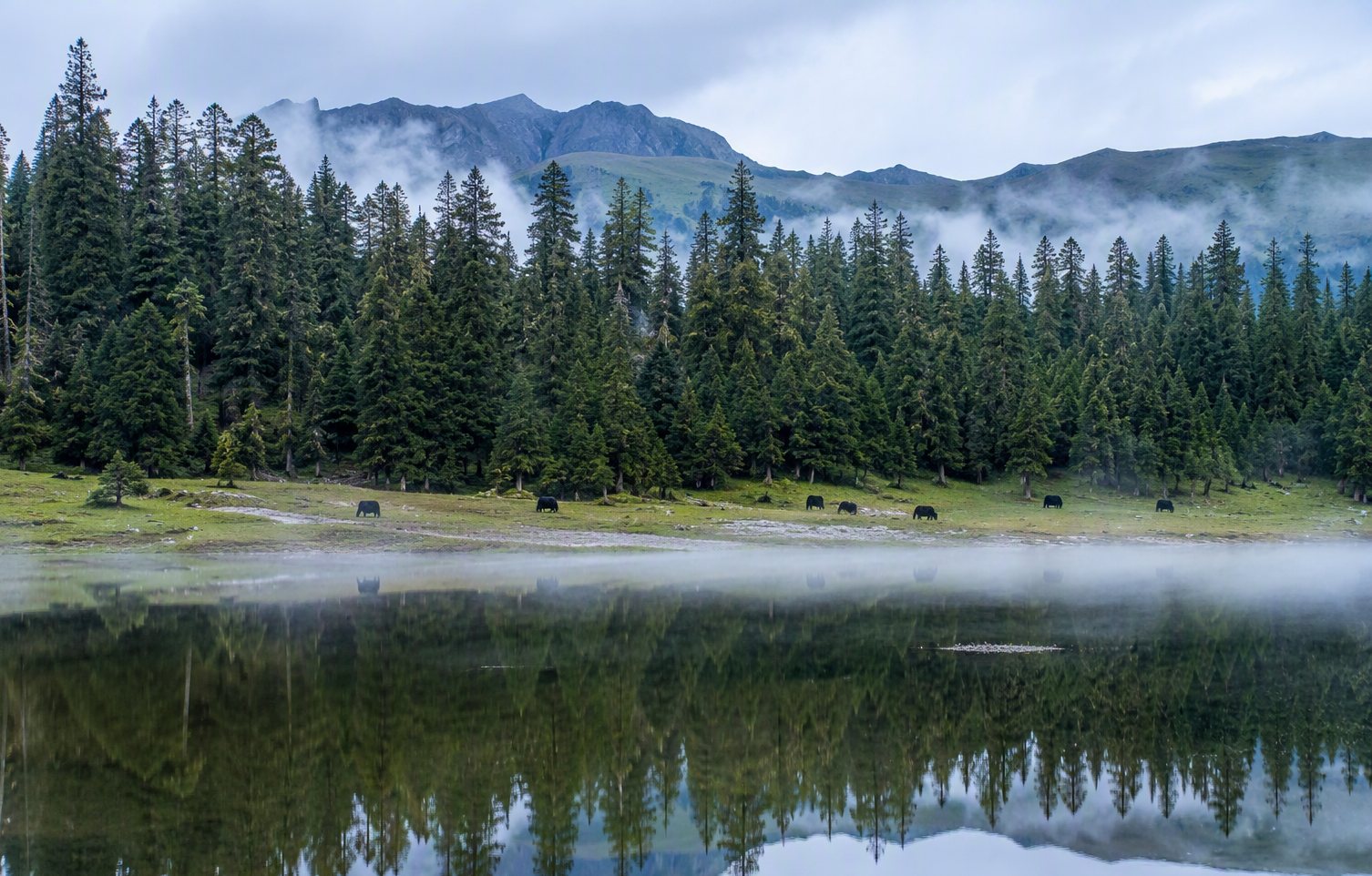 Potatso — China's first national park, stillness of forest and lake at 3,600m